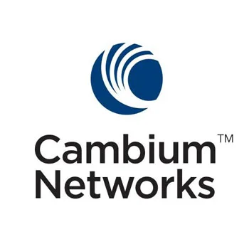 Cambium